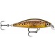 Rapala X-Light Minnow 5cm 4g - Live Brown Trout